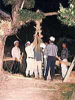 写真６　津貫中原のツナネリ（1994）