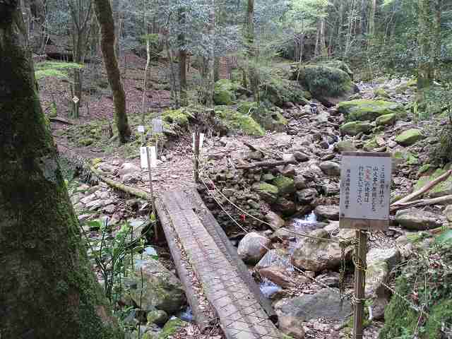 丸木橋