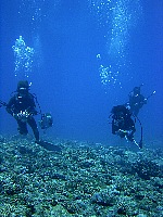 ダイバーと喜界島の海